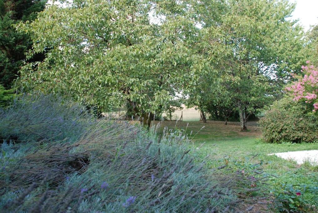 Uniquely Private Holiday Villa In The Charente Puyreaux Esterno foto